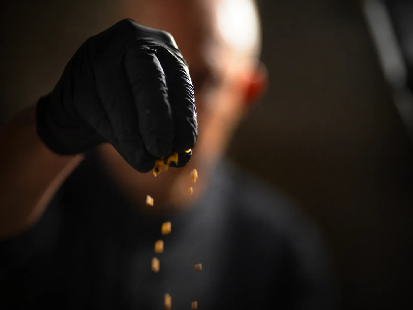Chef sprinkling toasted corn kernels over a plate